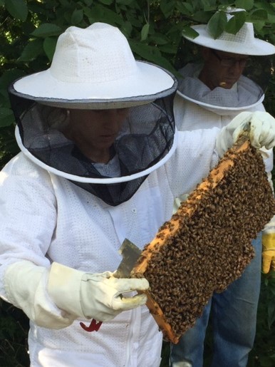 April Kustov- Wisconsin State Hive Inspector | Brown County Beekeepers ...