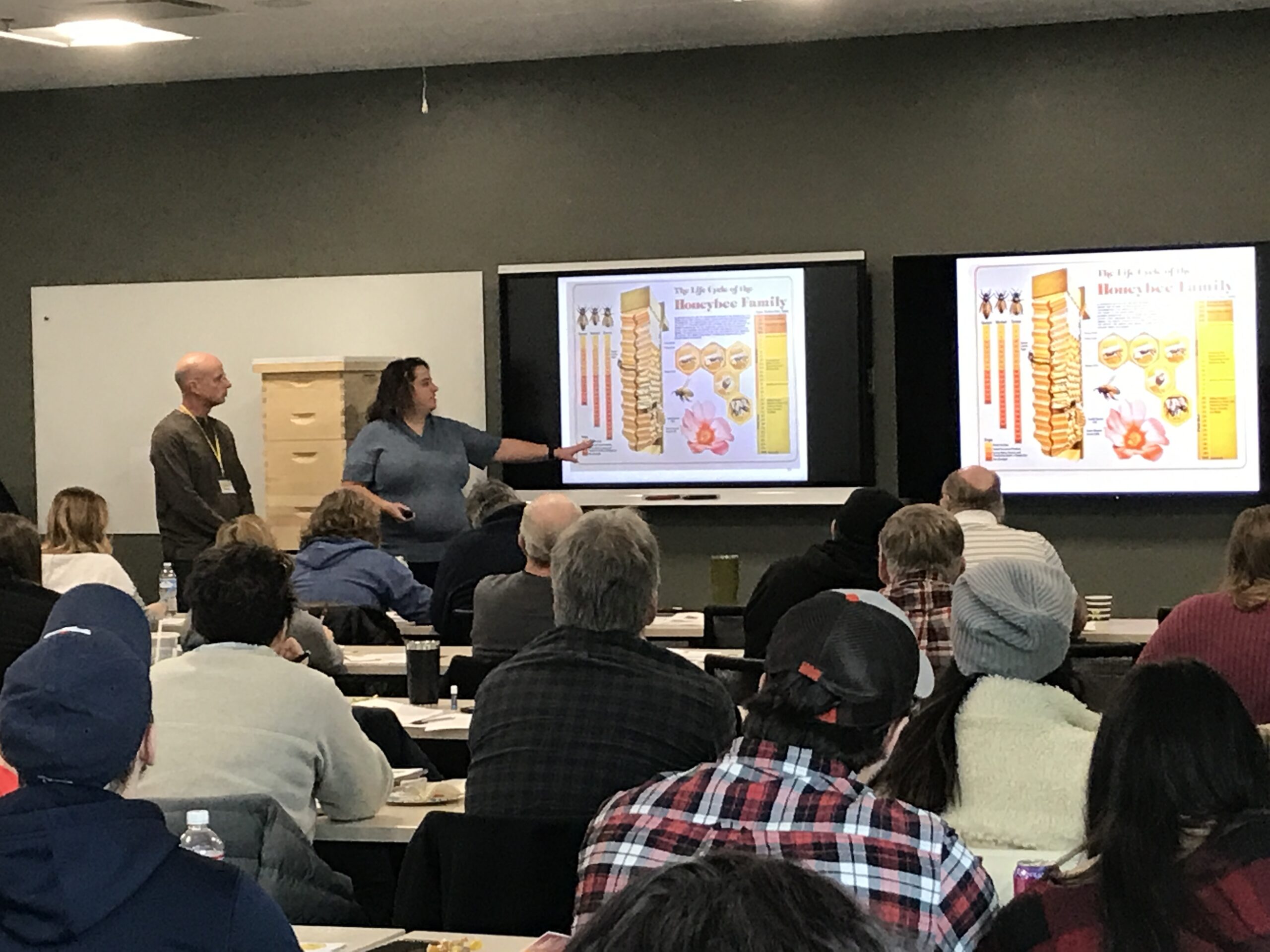 Introduction To Beekeeping Basics For Someone New To Bees Brown